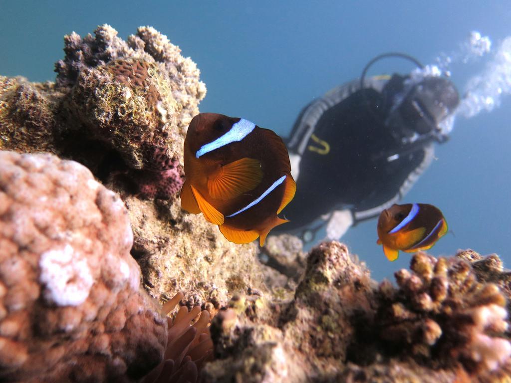 Bait Alaqaba Resort Zewnętrze zdjęcie